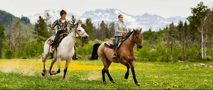 Confident plus-size woman riding Swadlincote a horse through a field with a smile on her face.